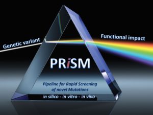 PRiSM